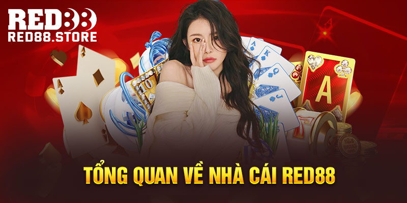 Abcvip là một công ty game đáng tin cậy; sau đây là tổng quan về công ty này - Abcvip