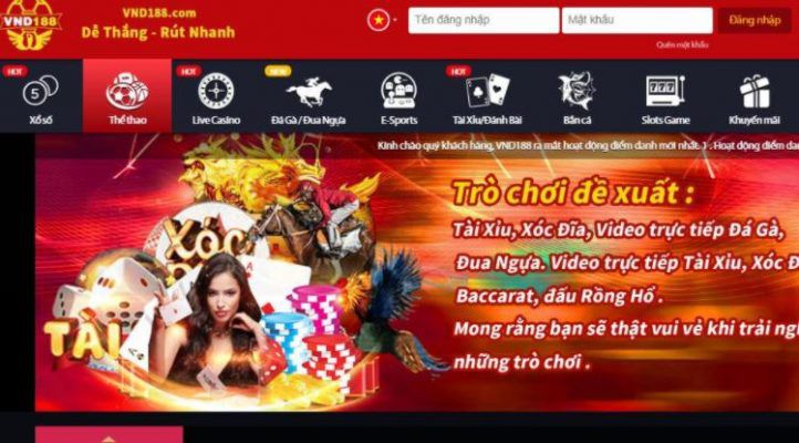 Phương pháp cá cược 58M được giải thích chi tiết - 58M