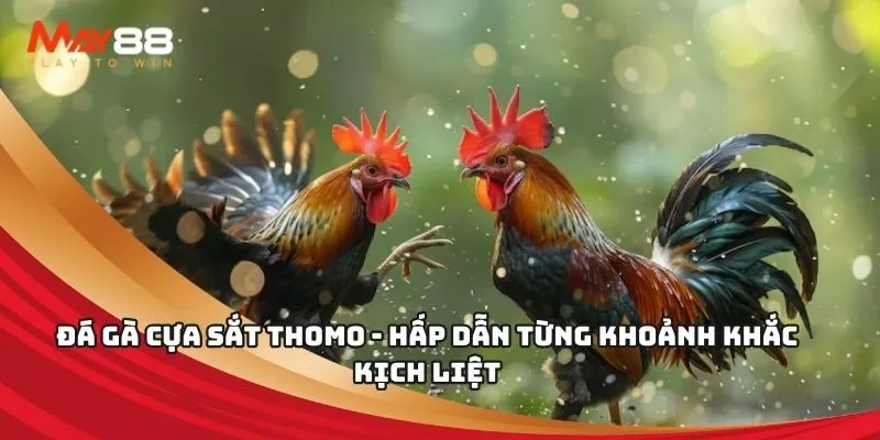 Đánh giá đơn đăng ký Loto288 - Loto288
