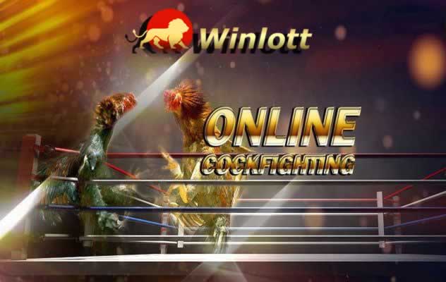 Giới thiệu và Cơ chế Thưởng của Trò chơi Thẻ bài Cấp độ Tobet - Tobet