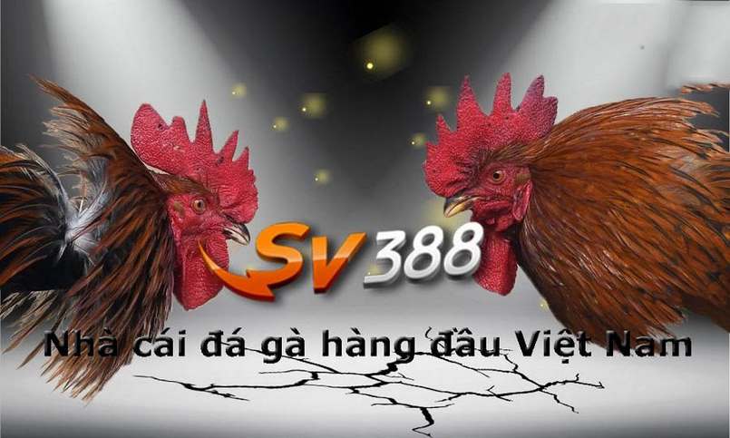 Quá trình tải xuống ứng dụng 188Bet diễn ra nhanh chóng và thuận tiện cho người chơi - 188Bet