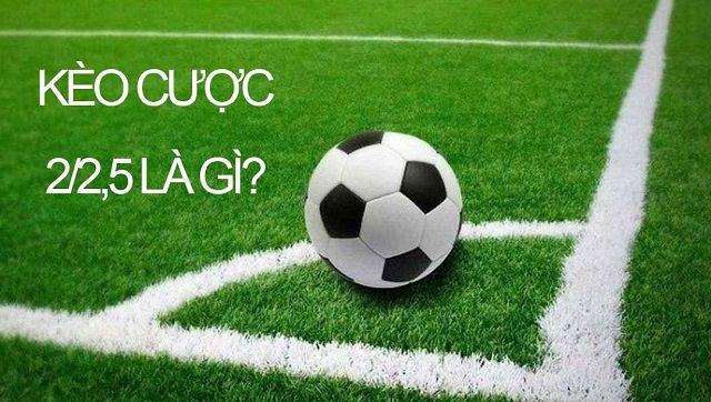 C54 cung cấp các lựa chọn giải trí - C54
