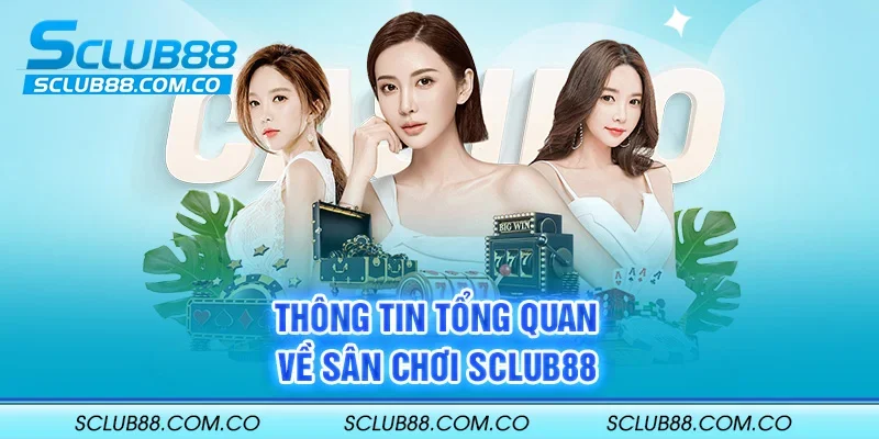 Sau đây là tổng quan về cổng thông tin Ce88 Games - Ce88