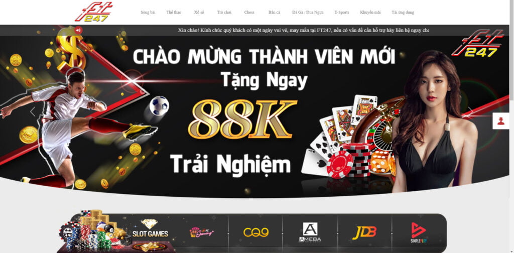 Dịch vụ tạo giá trị C168 - C168