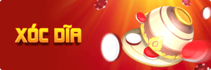 Thông tin về bằng lái xe hạng 789Bet: Làm thế nào để có được? Ai cấp bằng lái? - 789Bet
