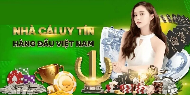 Ba trang web đá gà cấp Okking đáng tin cậy nhất - Okking